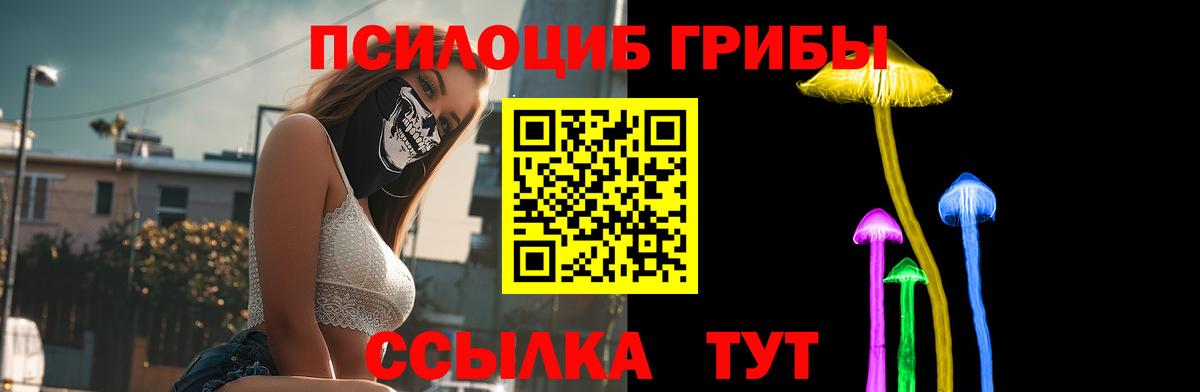 сколько стоит  Вход с VPN  Кувандык  Псилоцибиновые грибы MAGIC MUSHROOMS 
